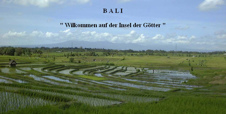 BALI 